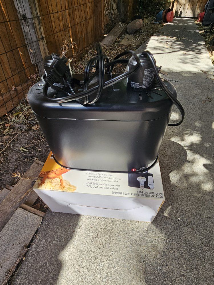 Main image 5