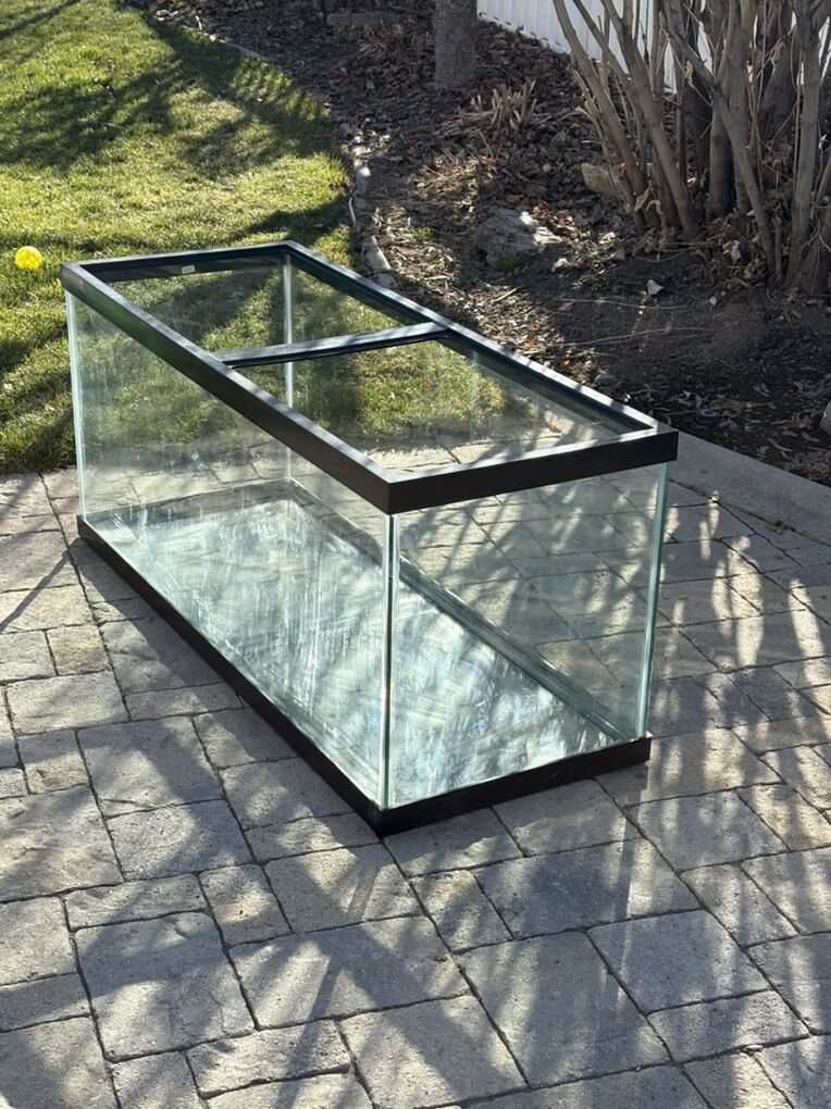 65 gallon Aquarium