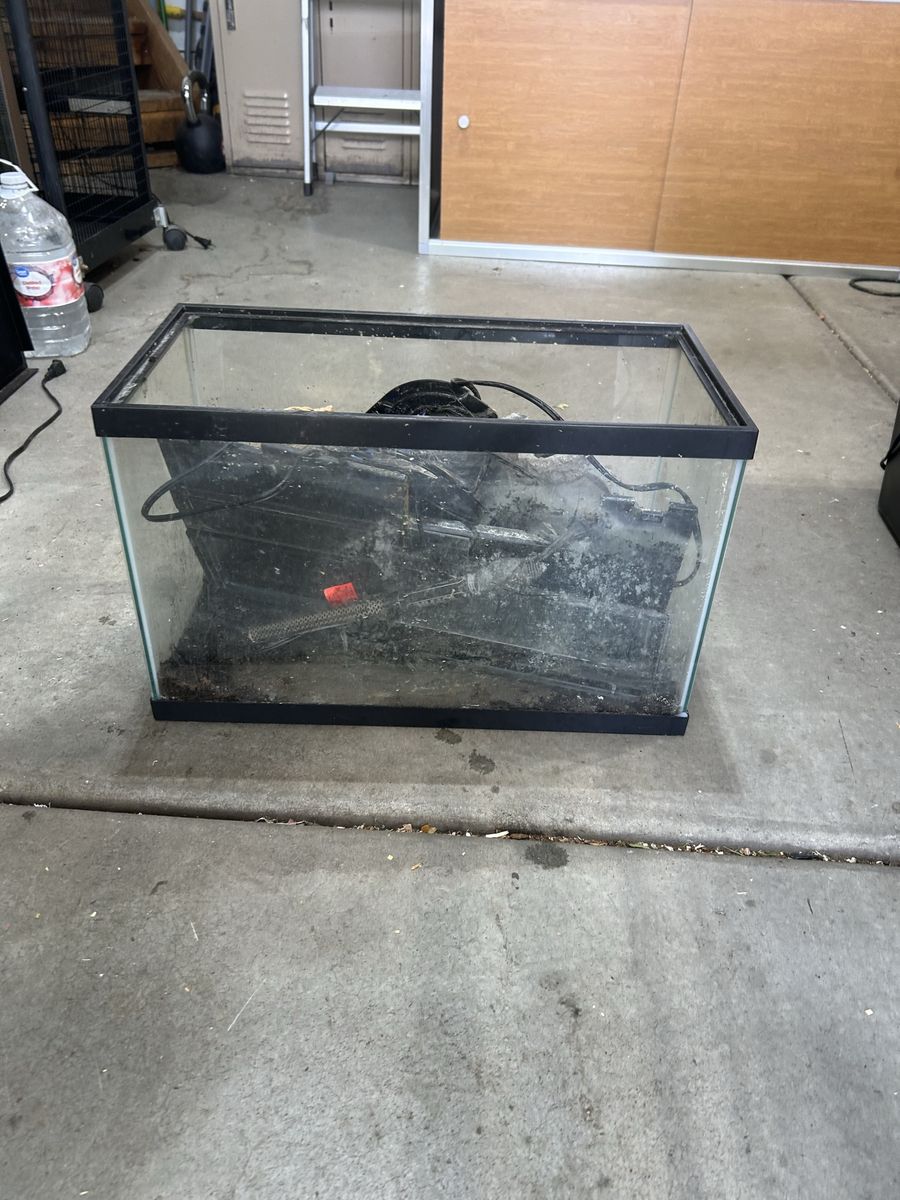 10 gallon