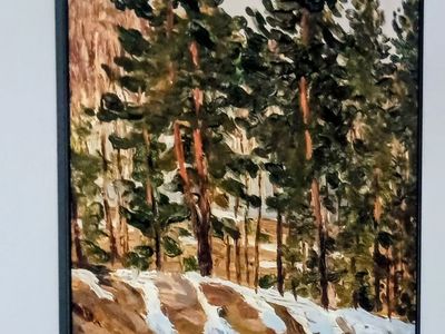 Framed Forest Print