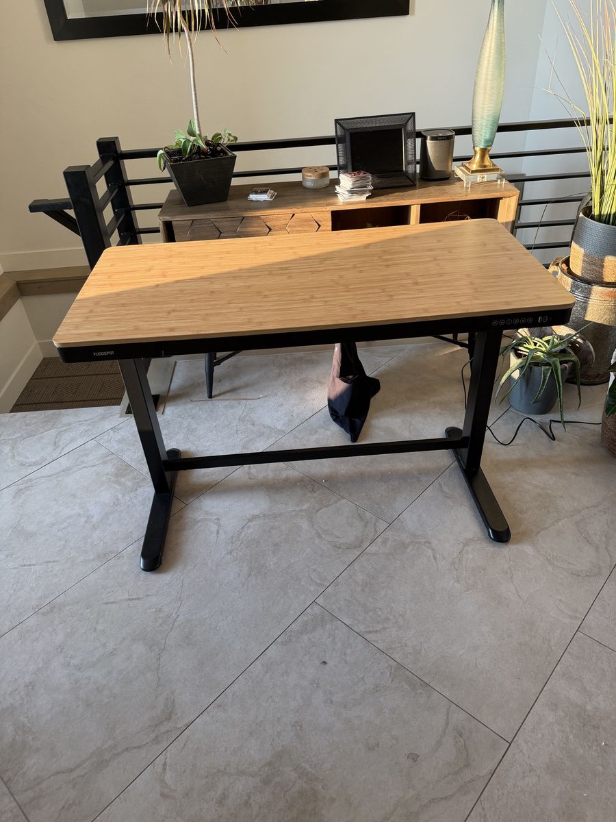 FlexiSpot Electric Standing Desk with Bamboo Top