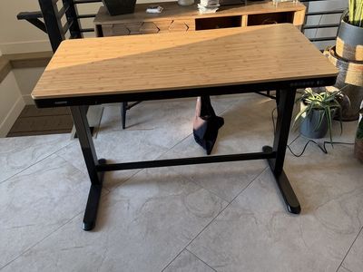 FlexiSpot Electric Standing Desk with Bamboo Top