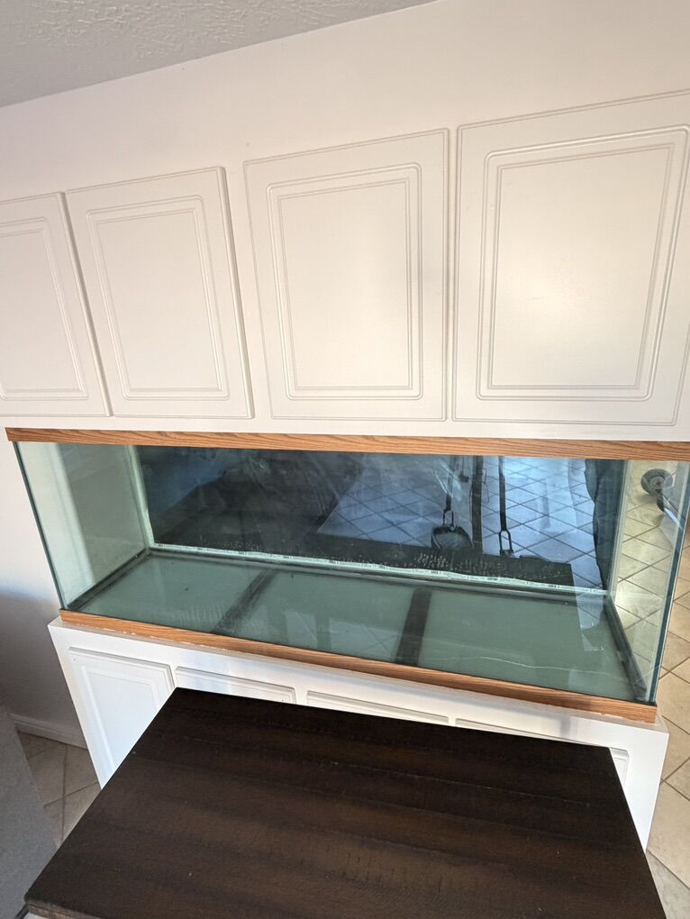 150 Gallon Tank, Rocks & LED Light