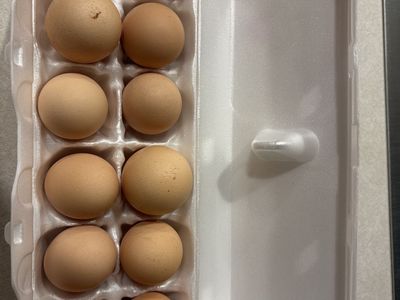Poultry Eggs