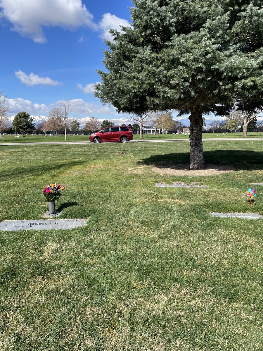 Cemetary plot for sale