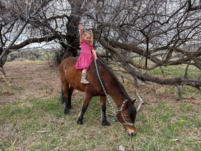 6 year old kid Pony