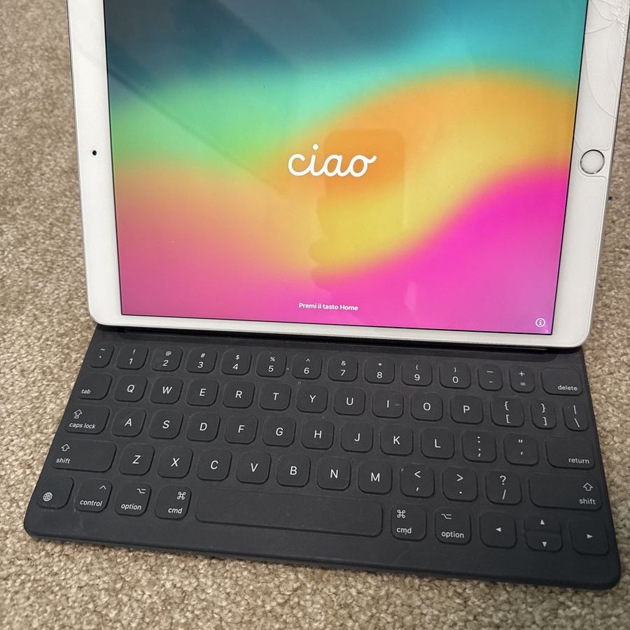 iPad Pro 1st Gen 10.5 in 256 GB Cracked screen with protector and keyboard