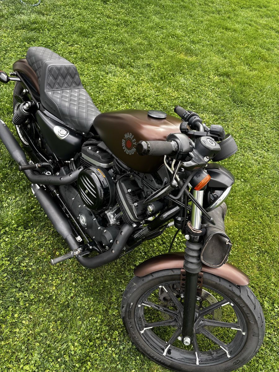 2019 Harley Davidson Sportster Xl 883