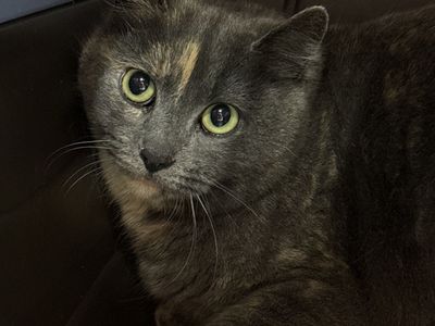 Hello my name is Paris