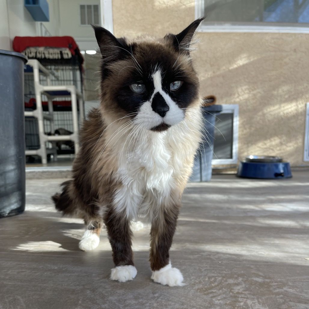 Hello my name is Langley