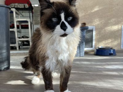 Hello my name is Langley