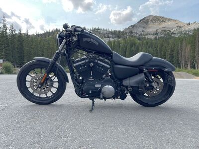 2013 Harley Davidson Sportster Iron 883