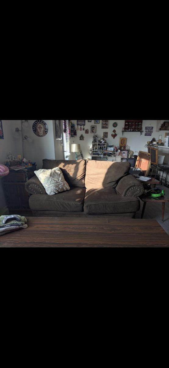 Comfy brown couch