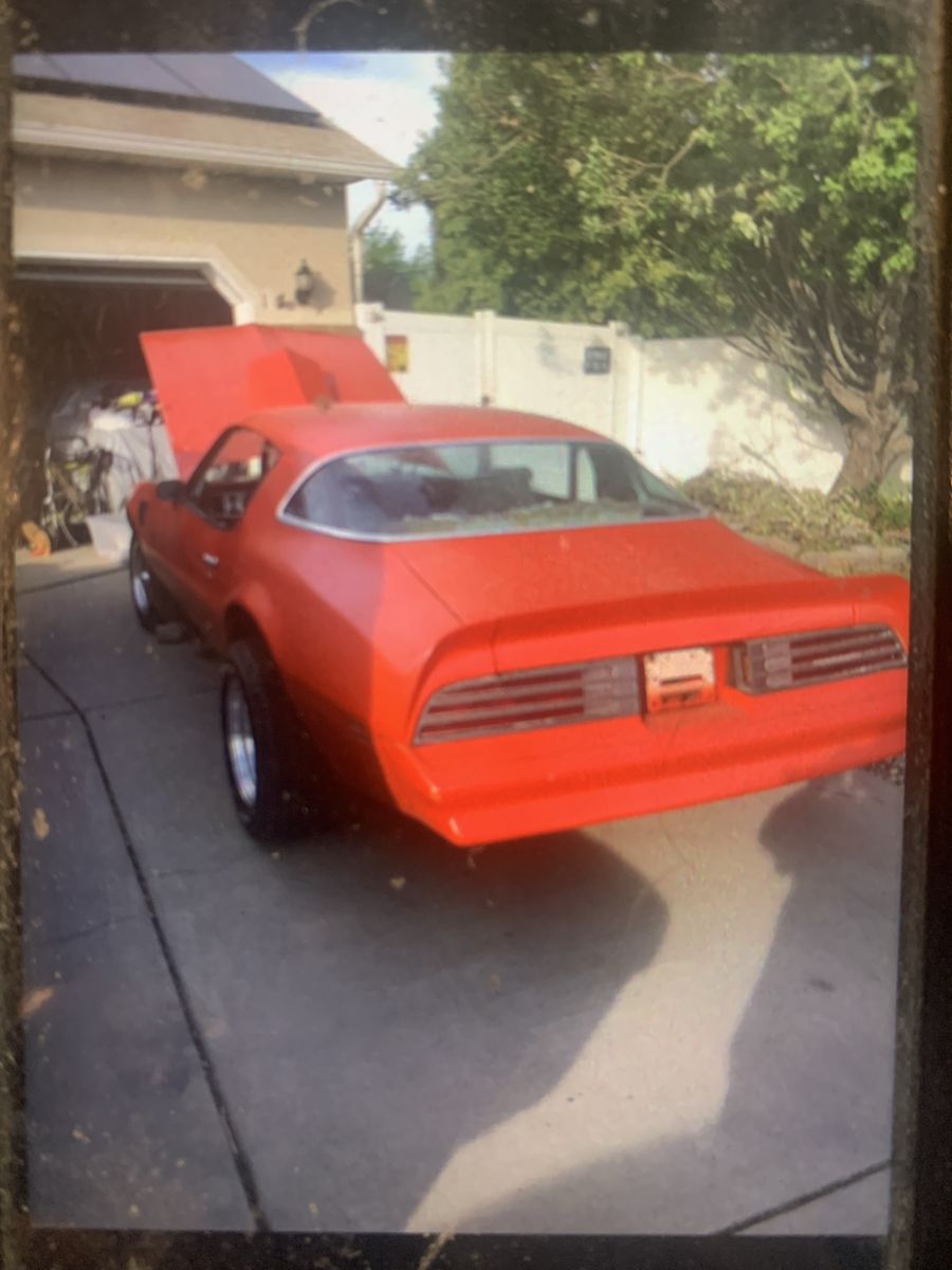 1978 Firebird Hood 100$ obo