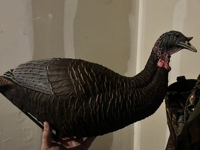 Turkey Decoy with Stake