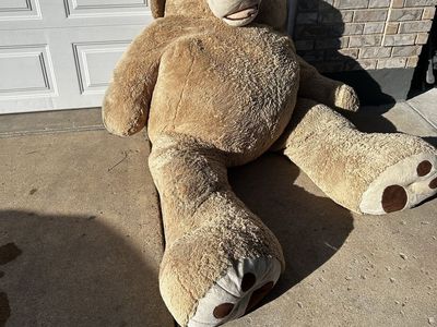 8ft giant Costco teddy bear used must go