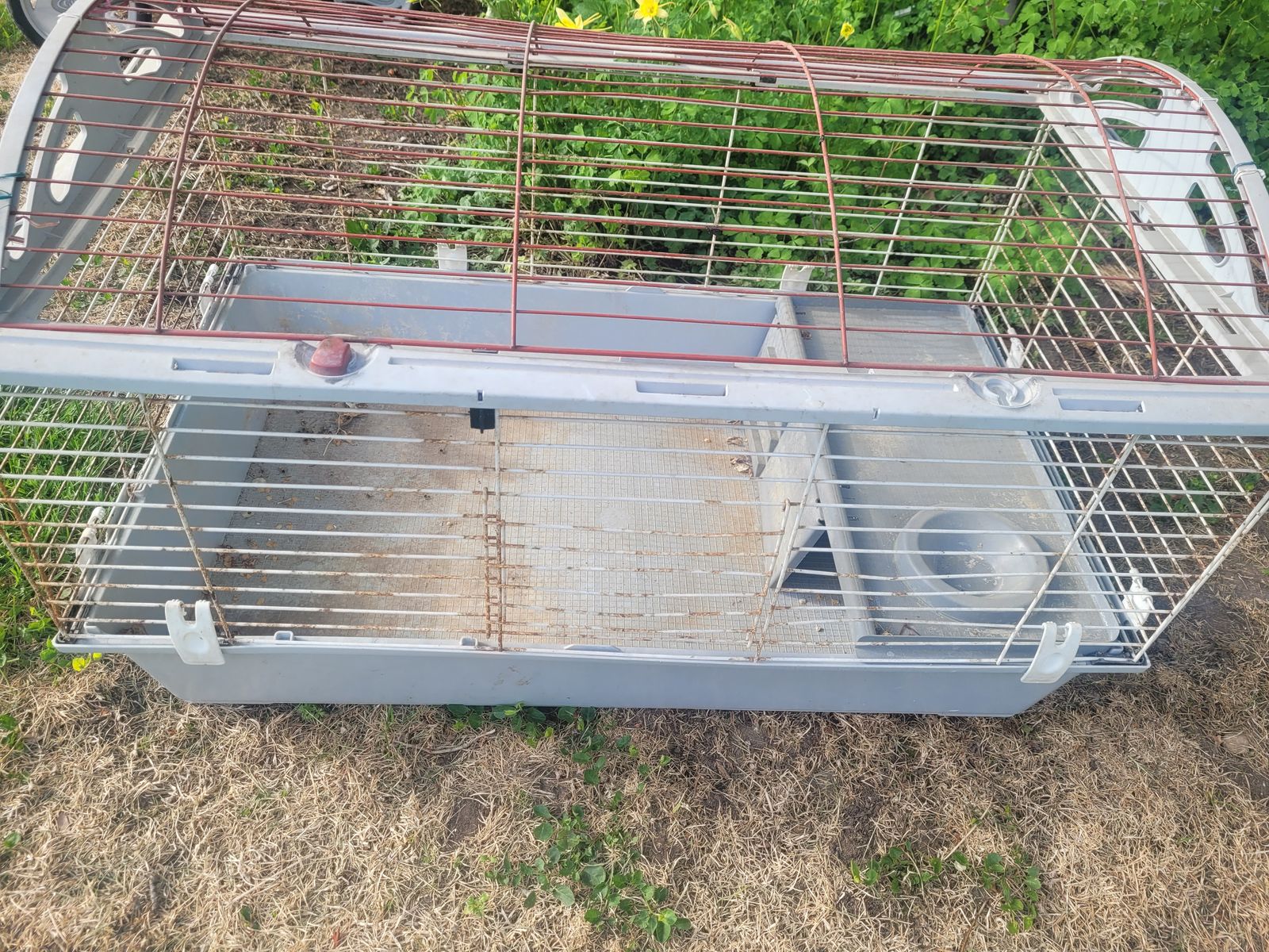 Rabbit or animal cage