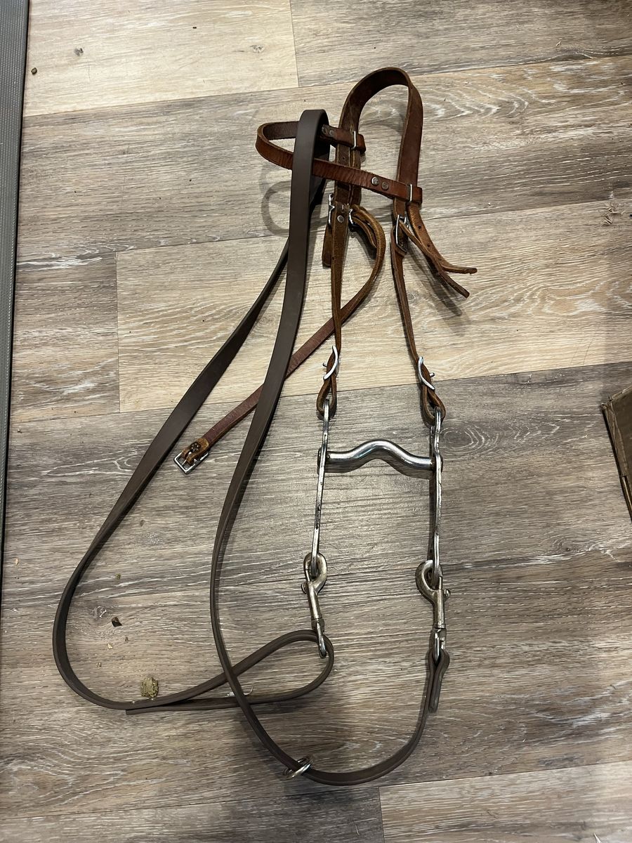 Pony Bridle
