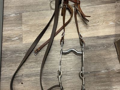 Pony Bridle