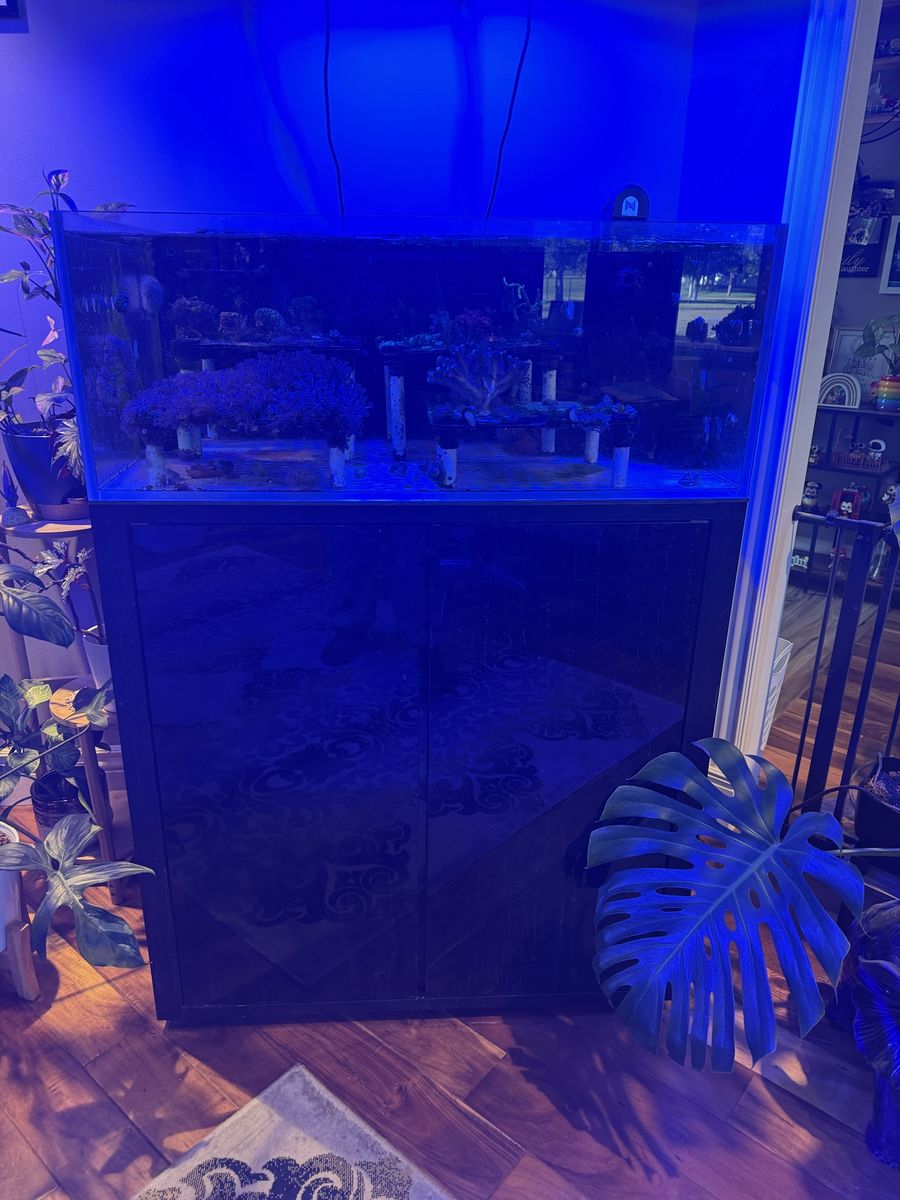 Cade Reef 900 / S2F Aquarium System - Modern Black Tank & Cabinet