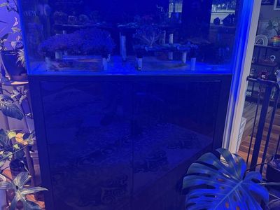 Cade Reef 900 / S2F Aquarium System - Modern Black Tank & Cabinet