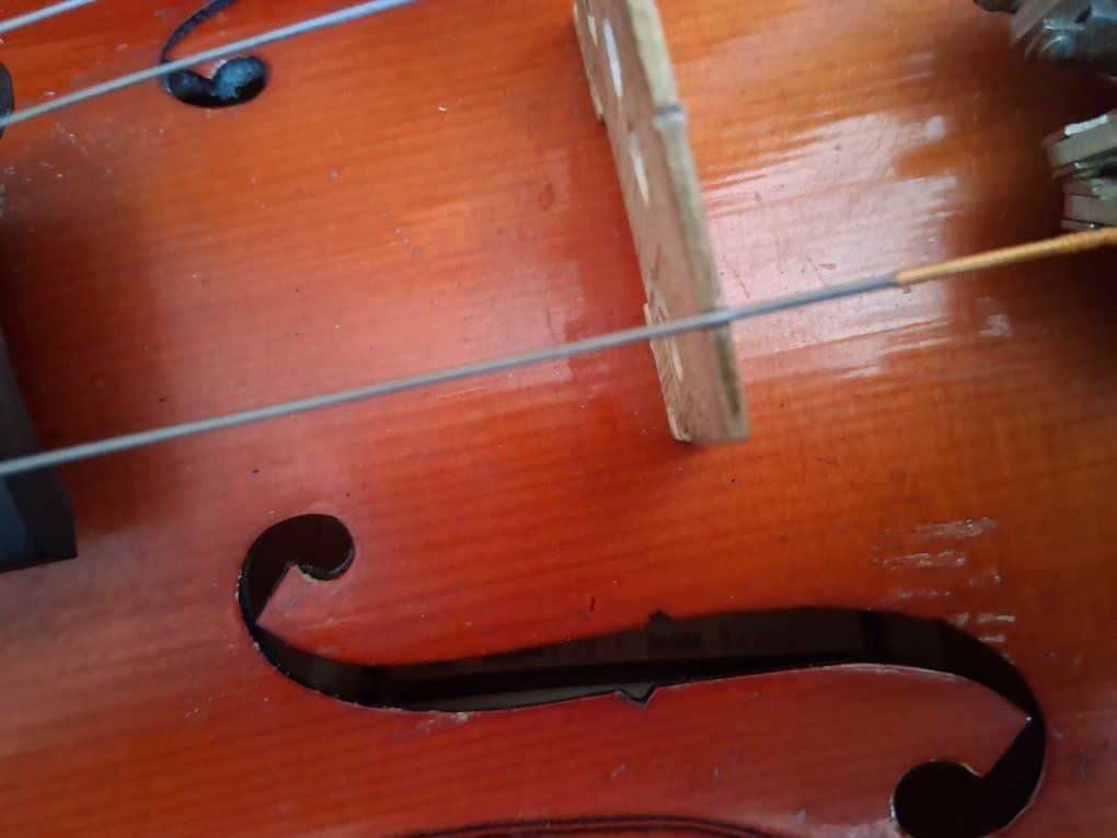 Main image 8