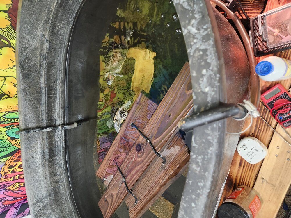 turtles and tank setup