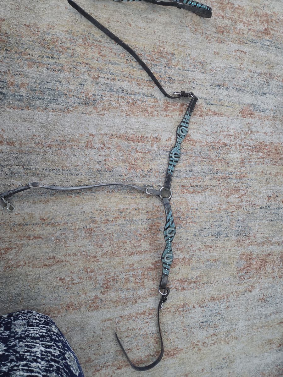 western bridle stall and breast collar