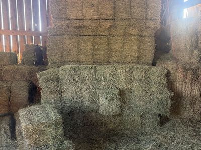 Good Hay Bales for Livestock Feed