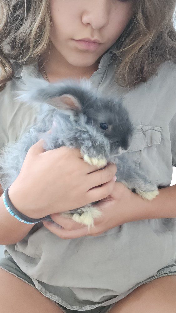 Main image 6