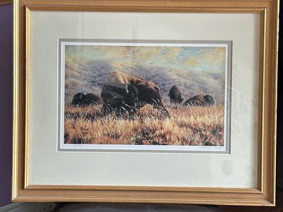 Blaine Dabb Signed 1990 Bison Buffalo Print 43/950 Limited Edition Framed 24x19
