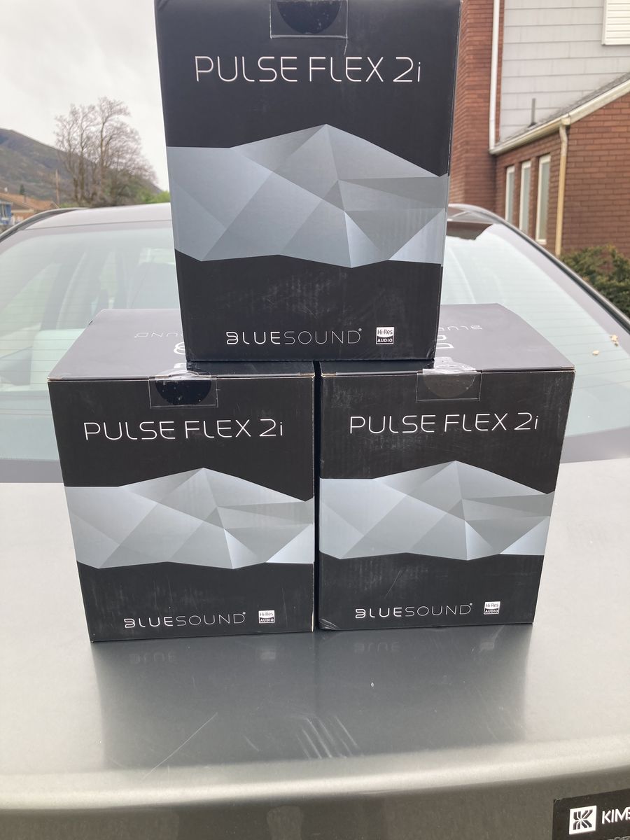 Bluesound Flex 2i Wireless Speaker in Black