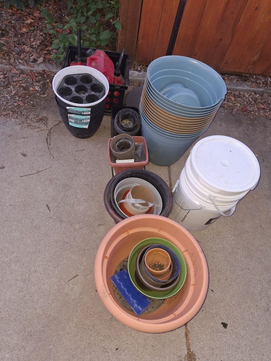 Random Pot & Planter Bundle