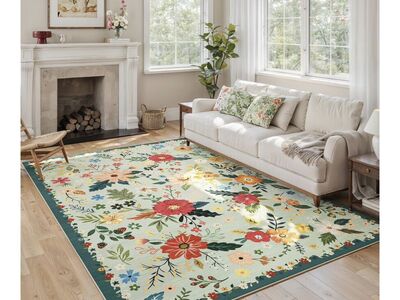 Colorful Plush 5'X7' Living Room Rug Brand New