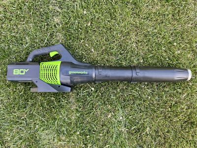 Greenworks Leaf Blower (tool only)
