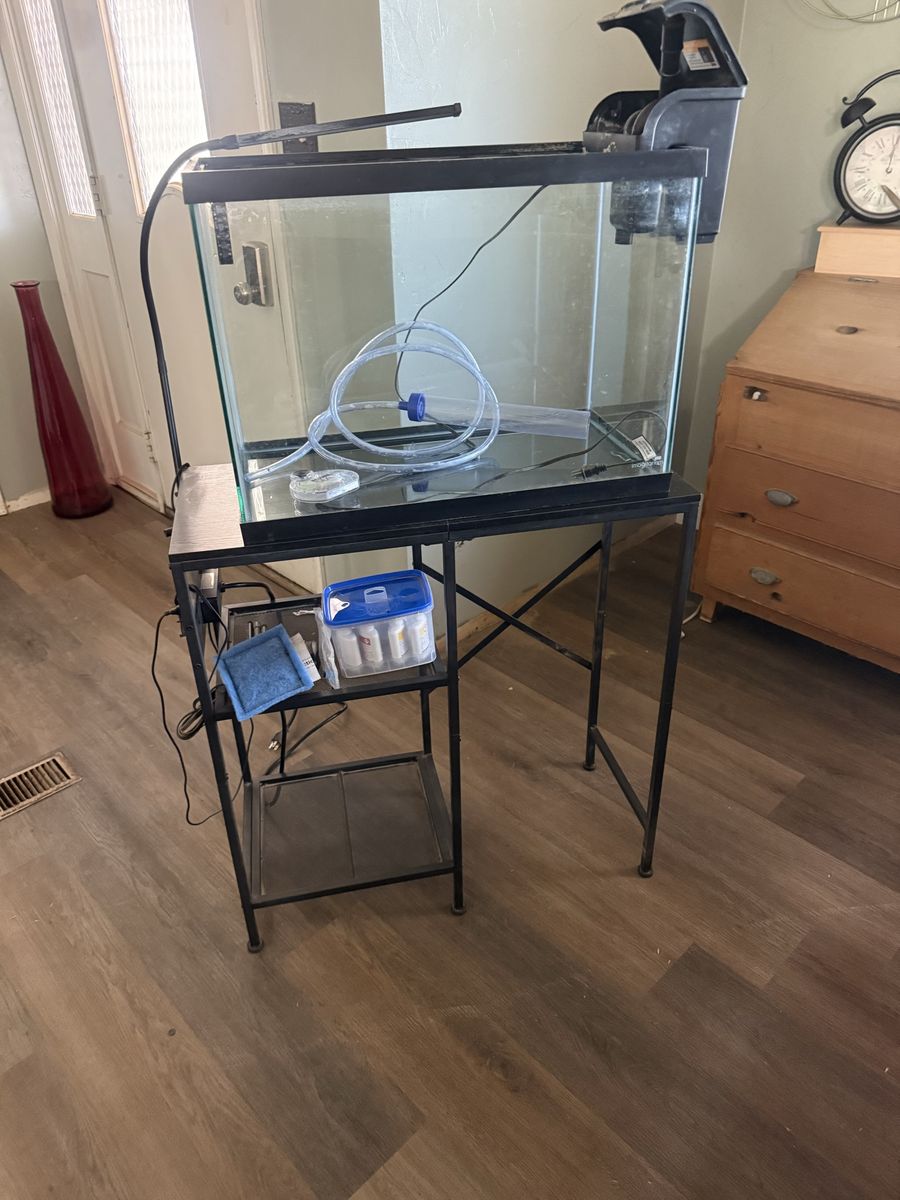 Fish tank