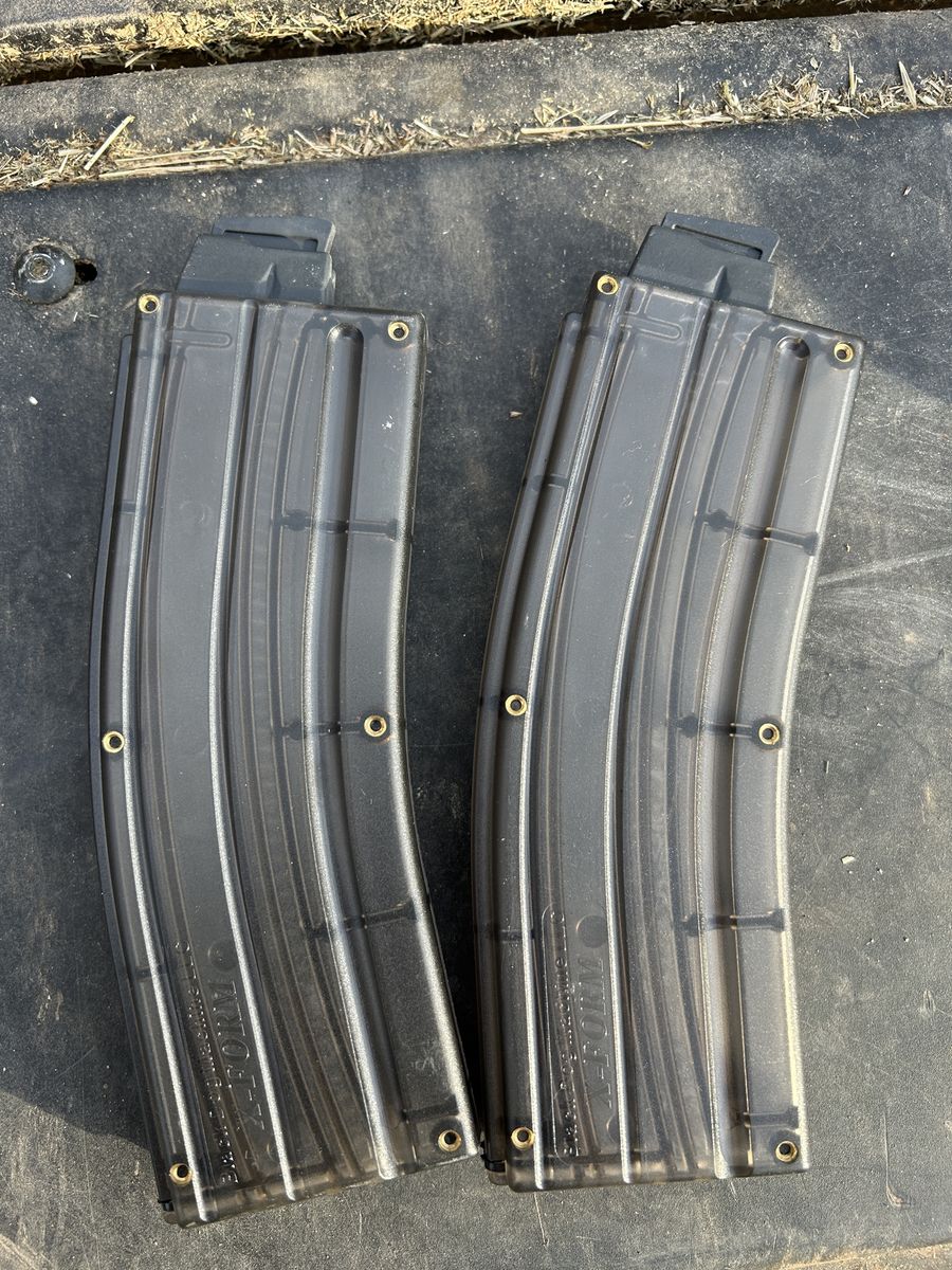 2 Black Dog 22 LR Mags