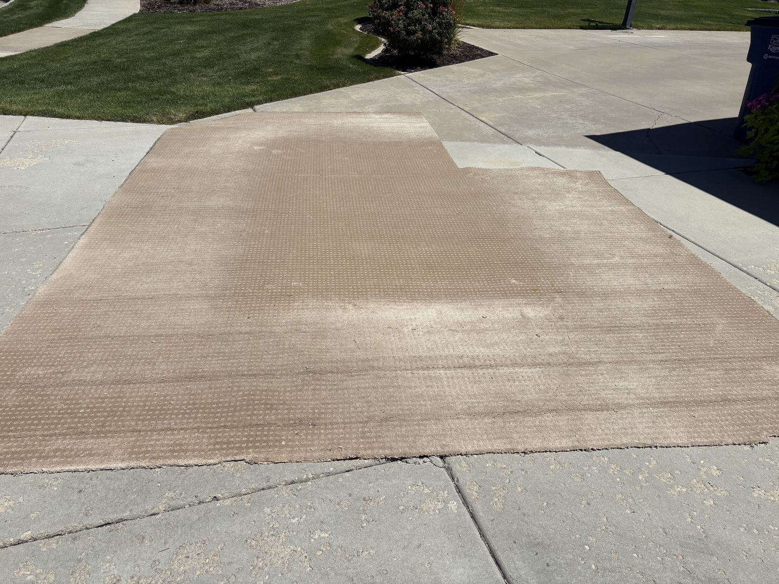 Carpet Remant