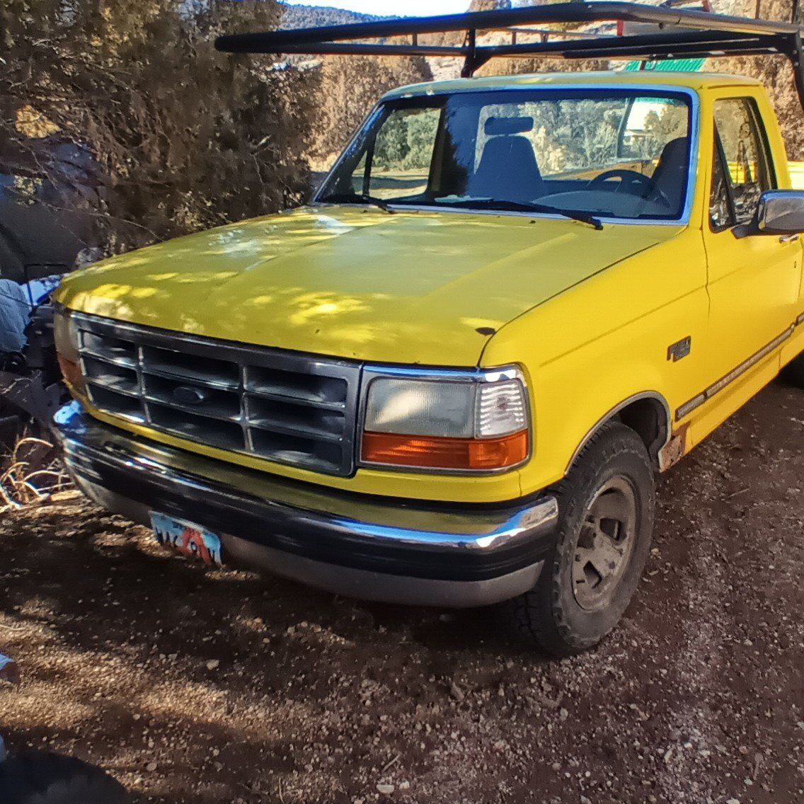 1995 FORD F150 XL