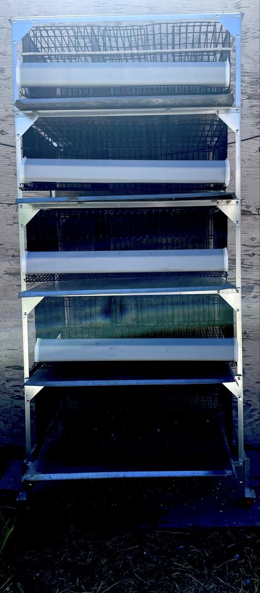 GQF 5 tier breeder cage system