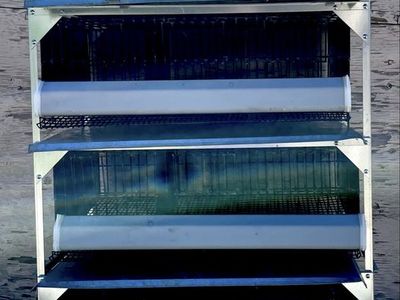 GQF 5 tier breeder cage system