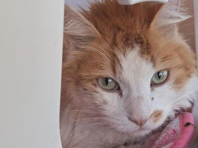 Hello my name is Soufie