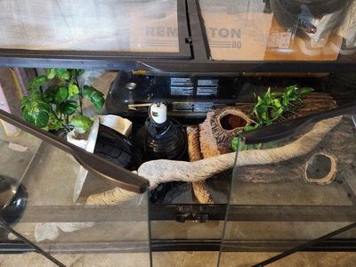 Terrarium with front doors