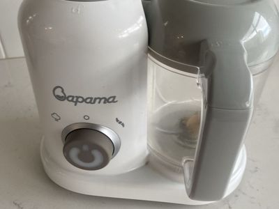 Blender Steamer