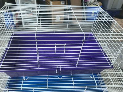 Small Animal Cage Wire Habitat with Purple Base 28x14 Inches new condition