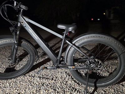 Retrospec Ebike