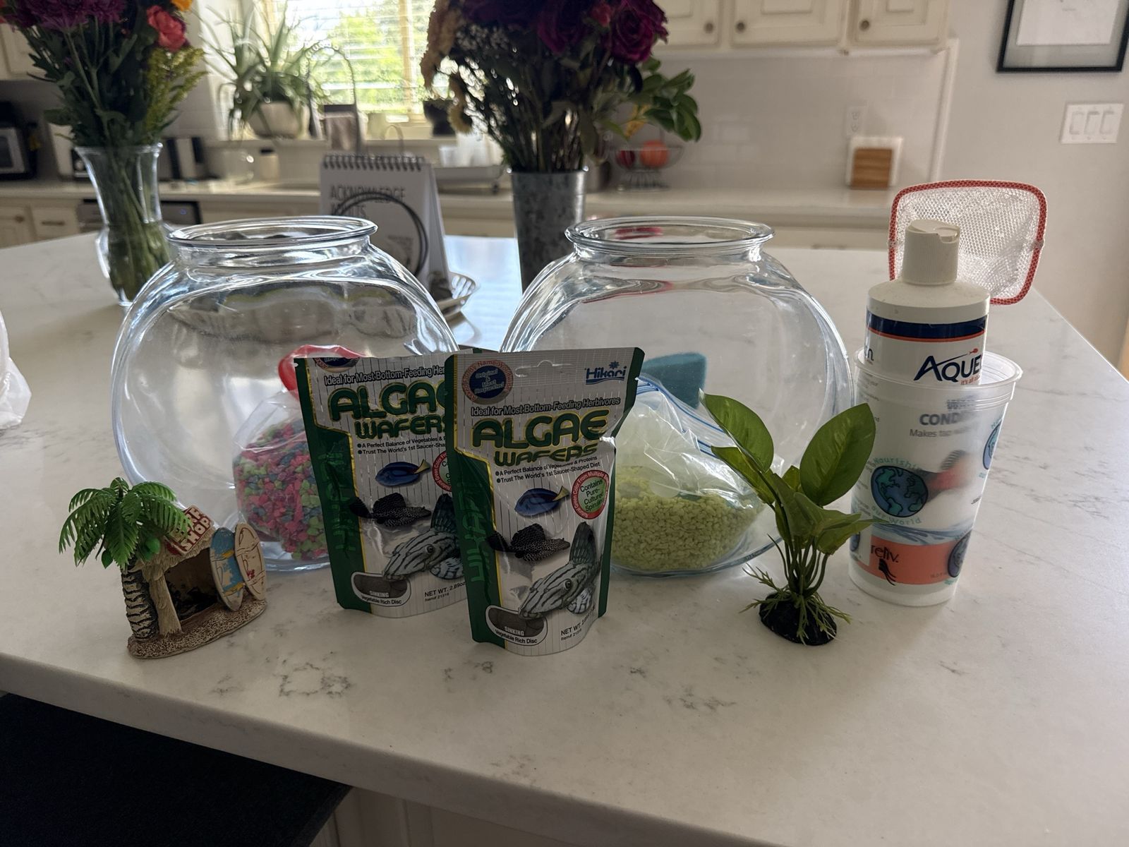 Fish Tank Starter Kit