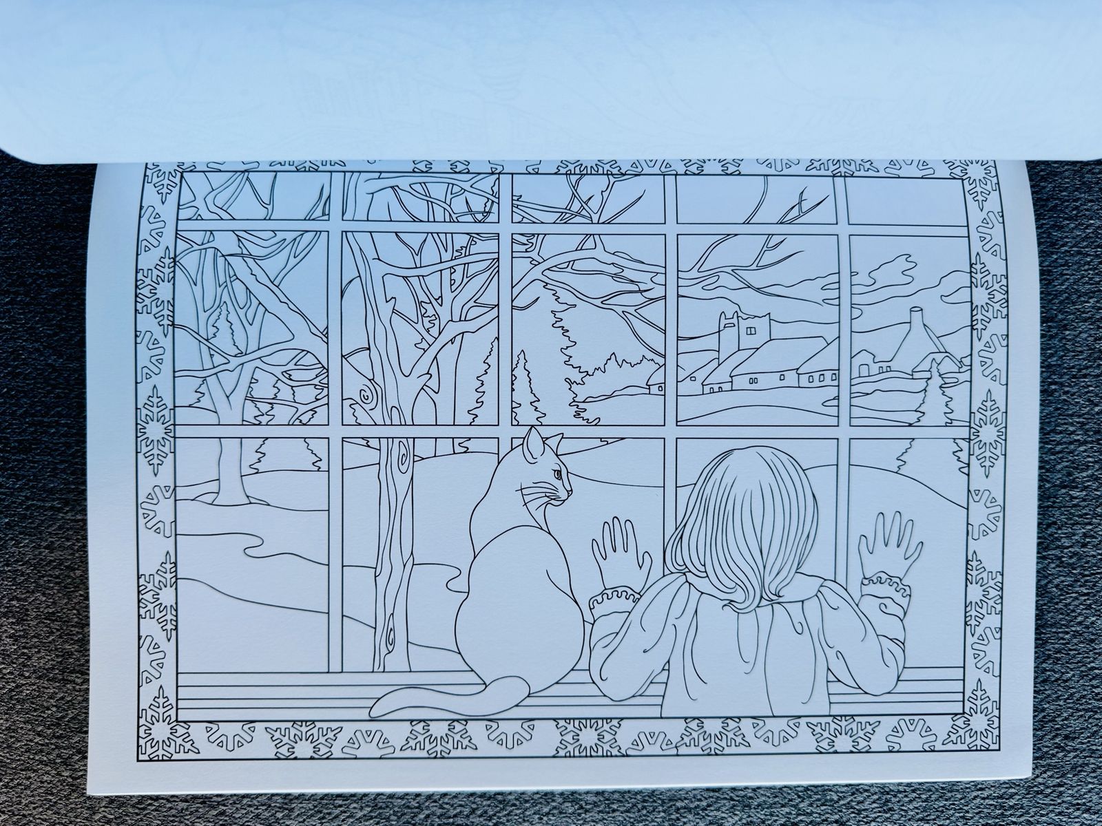 Main image 6