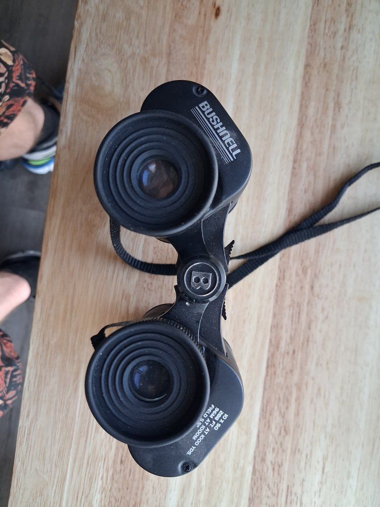 Bushnell 10x50 Binoculars with Carrying Case and Neck Strap