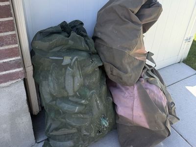 Duck Decoys
